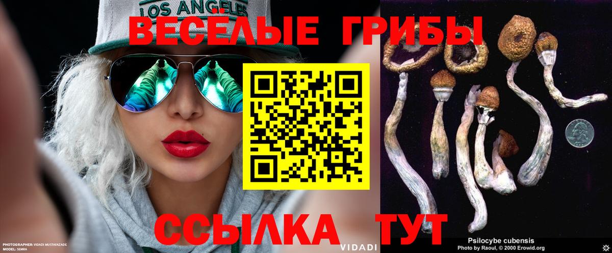 Псилоцибиновые грибы Psilocybe Рассказово